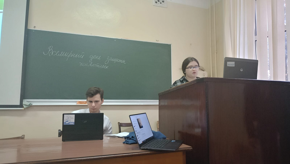 День защиты животных