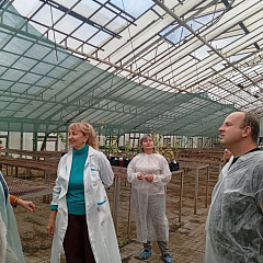 От генетики до тепличных персиков