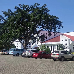 Преподаватель КубГАУ преподает русский язык в Гане