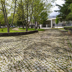 Students of Kuban SAU study remotely in Bragança
