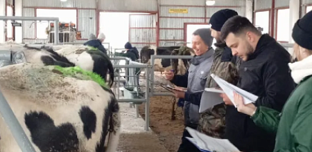 Оцениваем корову глазами эксперта: совершенствуемся вместе с лучшими специалистами отрасли