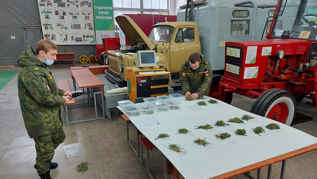 Эффективность применения шин разного давления при возделывании озимого ячменя