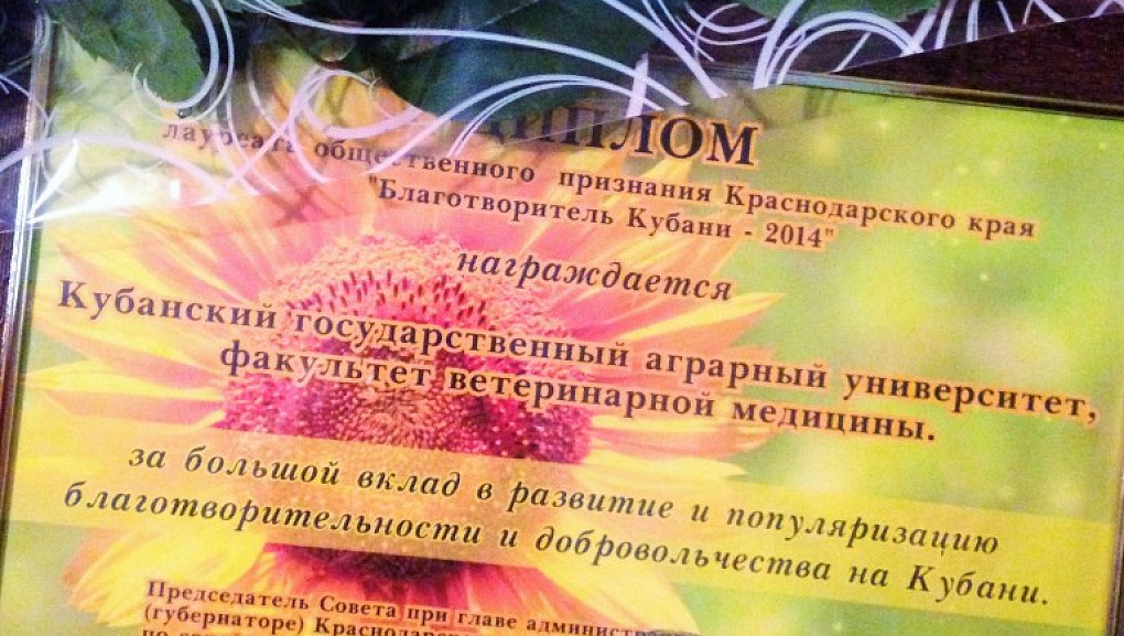 Свет добрых сердец