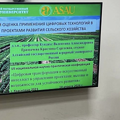 Про ИИ и проекты