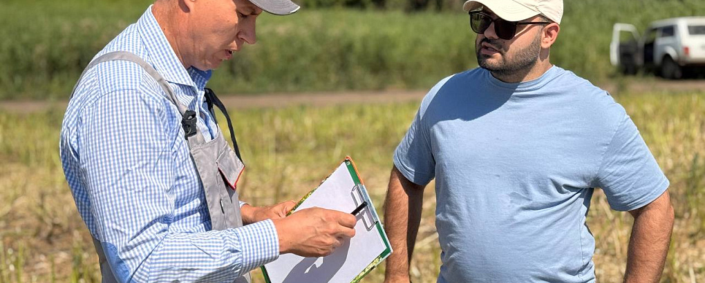 Прогресс Агро и КубГАУ тестируют машинное зрение для оптимизации уборки рапса