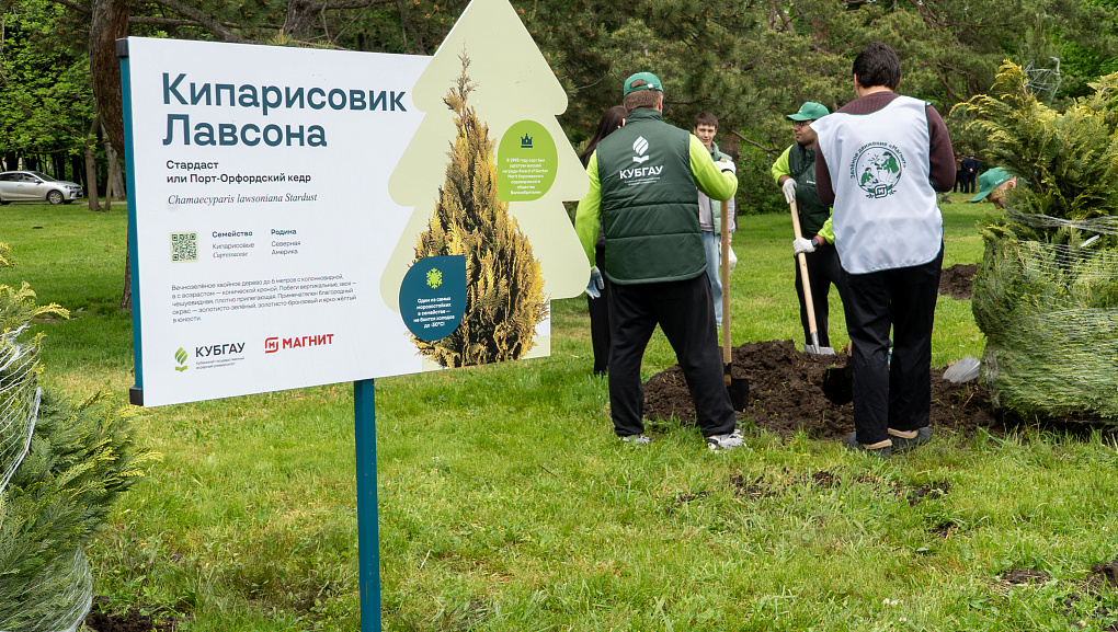 В Ботсаду КубГАУ высадили деревья
