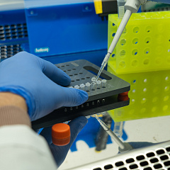 Грант 3 млн рублей получит СНО «Агробиотехнология» Кубанского ГАУ!