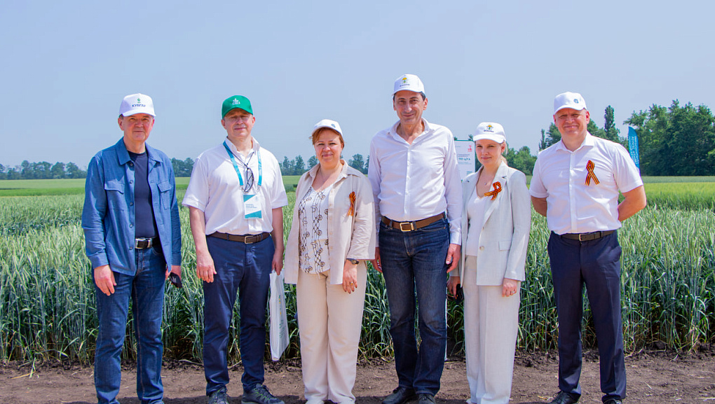 КубГАУ и Национальный центр зерна: вековой союз науки и селекции