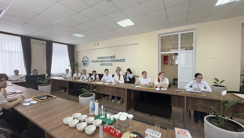 Практика рядом с профессией