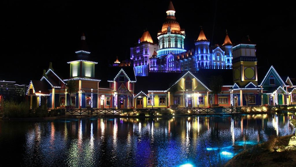 Volunteers of Kuban SAU spent the New Year's holidays usefully
