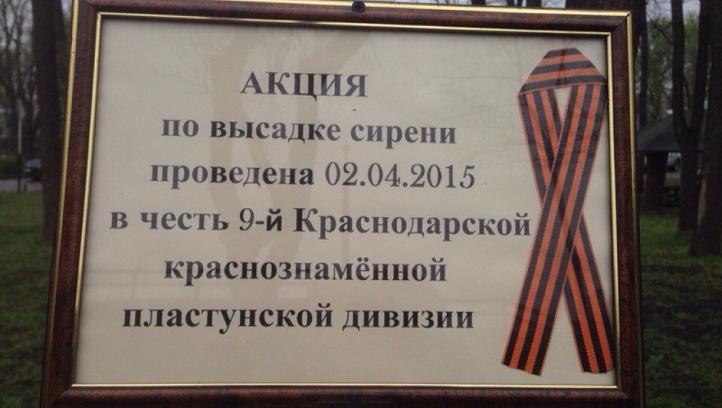 Краевая акция «Главная сирень Победы»