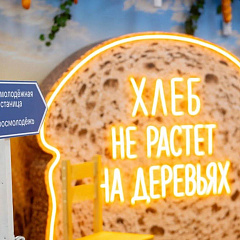 Студенты КУБГАУ — участники форума «Ростов–2026»
