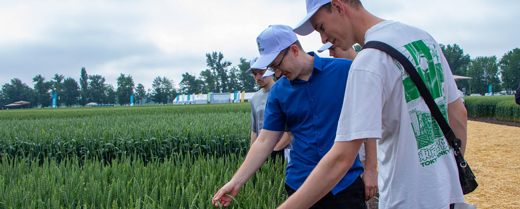 КубГАУ и Национальный центр зерна: вековой союз науки и селекции