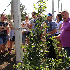 Kuban Hospitality for German Students
