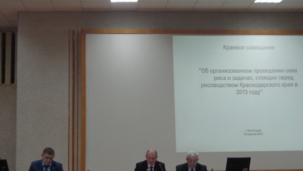 Краевое совещание по рисоводству