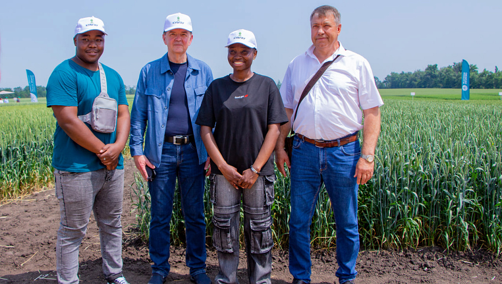 КубГАУ и Национальный центр зерна: вековой союз науки и селекции