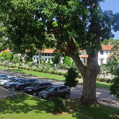 Преподаватель КубГАУ преподает русский язык в Гане
