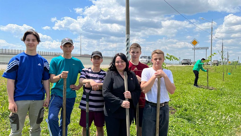 Студенты КубГАУ высадили аллею Памяти Героев в станице Елизаветинской