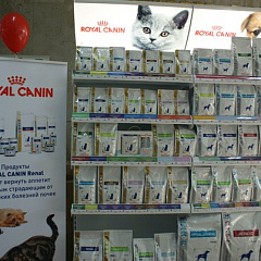 Семинар по проблемам дерматологии и репродуктологии мелких домашних животных