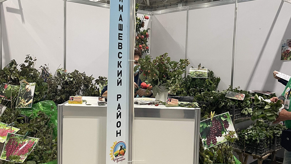 Кубанская ярмарка-2021