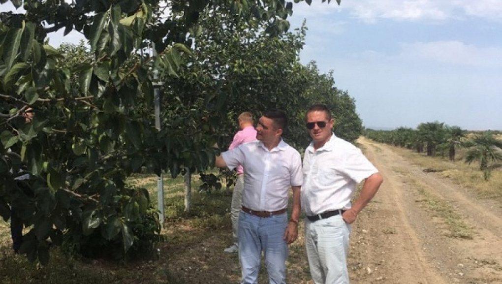 Cooperation with Azerbaijan State Agricultural University