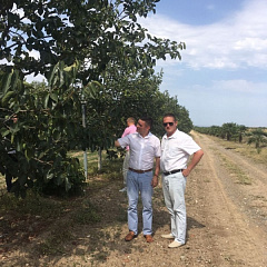 Cooperation with Azerbaijan State Agricultural University